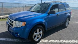 2011 Ford Escape XLT