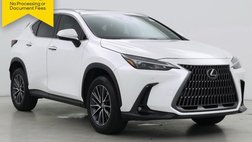 2024 Lexus NX 250 Premium