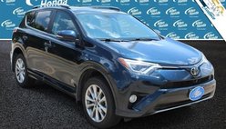 2018 Toyota RAV4 Platinum