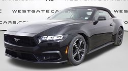 2024 Ford Mustang EcoBoost