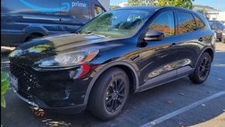 2020 Ford Escape Hybrid SE Sport