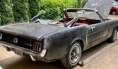 1965 Ford Mustang Standard 1965