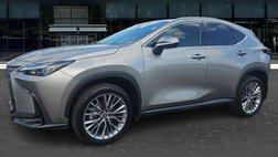 2022 Lexus NX 350h Premium