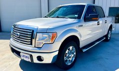 2010 Ford F-150 XLT