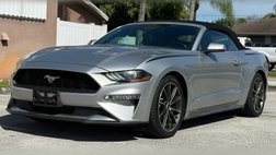 2019 Ford Mustang Premium