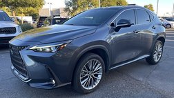 2022 Lexus NX 350 Luxury