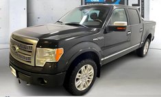 2010 Ford F-150 Platinum