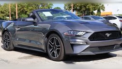2022 Ford Mustang EcoBoost