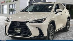 2024 Lexus NX 250 Base