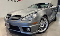 2010 Mercedes-Benz SLK-Class SLK 300