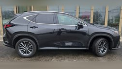 2025 Lexus NX 250 Base