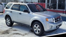 2010 Ford Escape XLT