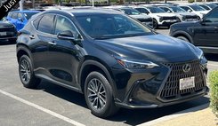 2025 Lexus NX 350h Premium