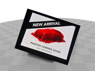 2021 Alfa Romeo Giulia Ti Sport