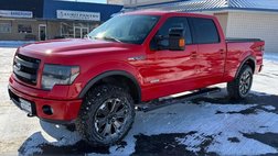 2014 Ford F-150 FX4