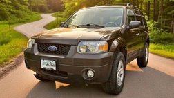 2007 Ford Escape XLT