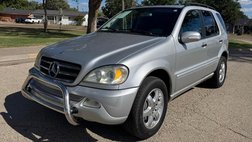 2003 Mercedes-Benz M-Class ML 500