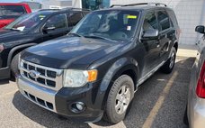 2011 Ford Escape Limited