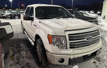 2012 Ford F-150 Platinum