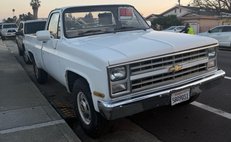 1987 Chevrolet R/V 20 Series 