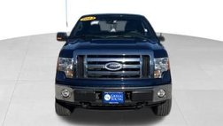 2010 Ford F-150 Platinum