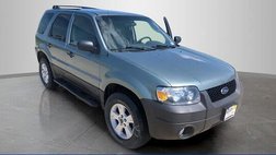2007 Ford Escape XLT