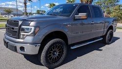 2014 Ford F-150 Platinum