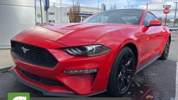 2019 Ford Mustang EcoBoost