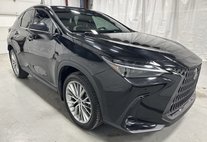2024 Lexus NX 350h Luxury