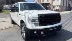 2014 Ford F-150 Platinum
