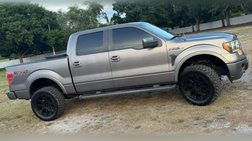2010 Ford F-150 Platinum