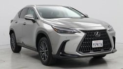 2025 Lexus NX 250 Premium