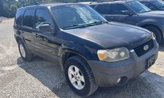 2007 Ford Escape XLT