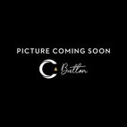 2020 Dodge Charger GT