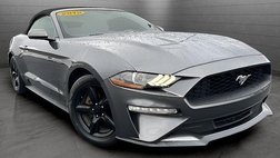 2019 Ford Mustang EcoBoost