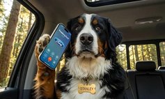 2012 Dodge Charger R/T