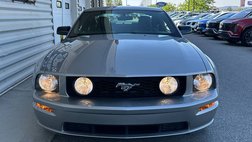 2008 Ford Mustang GT Deluxe