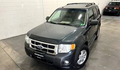 2008 Ford Escape XLT
