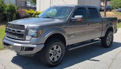 2013 Ford F-150 FX2