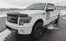 2013 Ford F-150 FX4