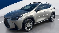 2024 Lexus NX 350h Luxury