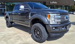 2017 Ford Super Duty F-250 Platinum