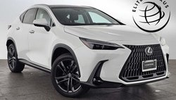 2026 Lexus NX 450h+ Luxury