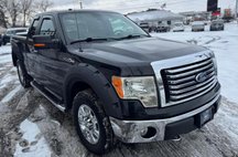 2010 Ford F-150 XL