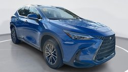 2025 Lexus NX 250 Premium