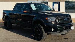 2014 Ford F-150 FX4