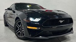 2019 Ford Mustang EcoBoost