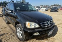 2004 Mercedes-Benz M-Class ML 500