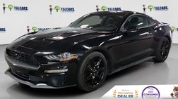 2019 Ford Mustang Base
