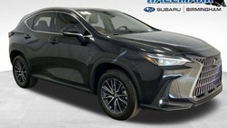 2024 Lexus NX 250 Premium